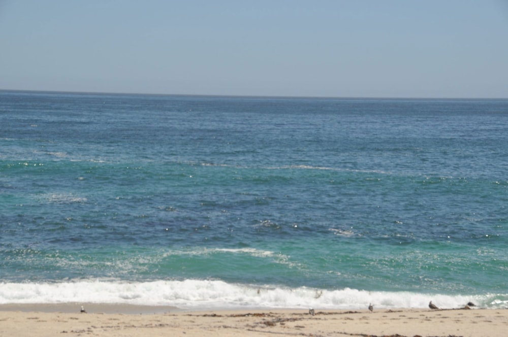 Double-storey house for sale in Lamberts Bay - LA1687534