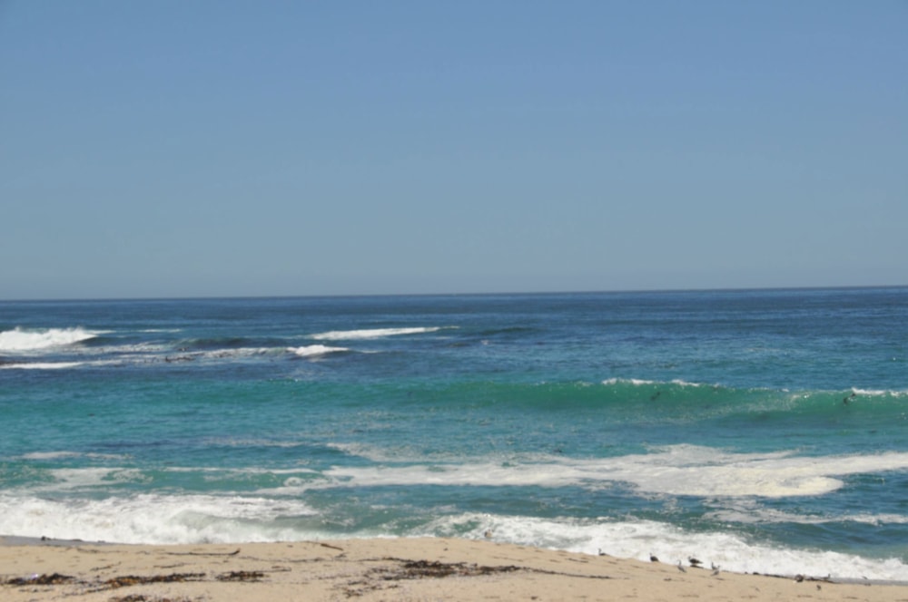 Double-storey house for sale in Lamberts Bay - LA1687534