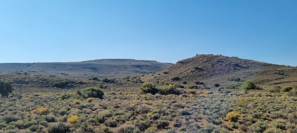 Livestock farm for sale in Laingsburg Rural  - 1KK1687675 Livestock farm for sale in Laingsburg Rural  - 1KK1687675