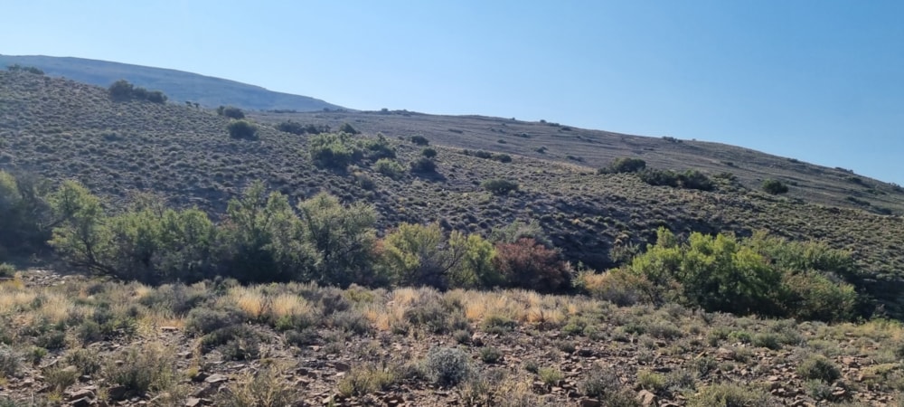 Livestock farm for sale in Laingsburg Rural  - 1KK1687675 Livestock farm for sale in Laingsburg Rural  - 1KK1687675