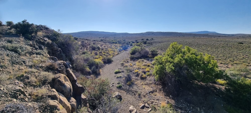 Livestock farm for sale in Laingsburg Rural  - 1KK1687675 Livestock farm for sale in Laingsburg Rural  - 1KK1687675