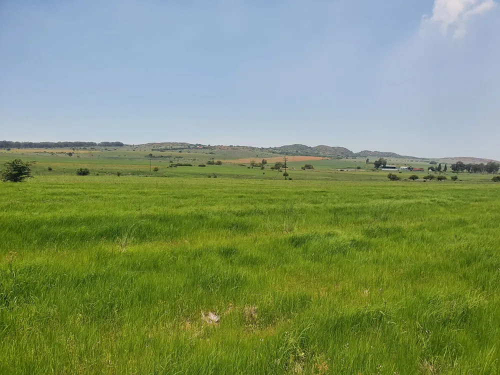 Smallholding sold in Meyerton - 1VT1687906