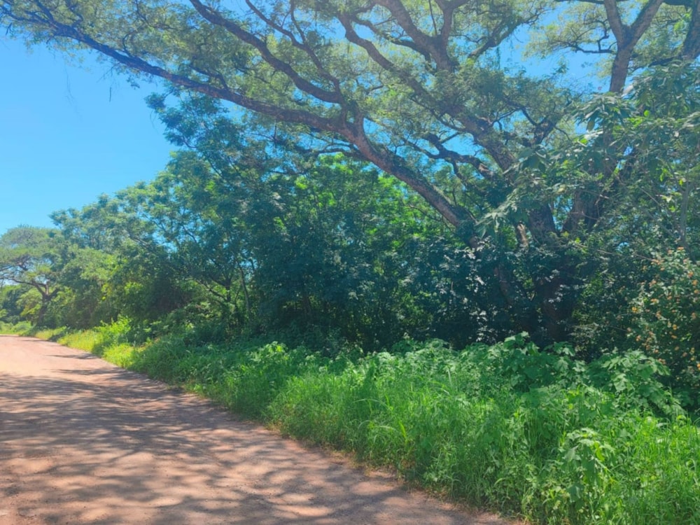 Vacant land for sale in Tzaneen, Limpopo Province - 1TA1687740 Vacant land for sale in Tzaneen, Limpopo Province - 1TA1687740