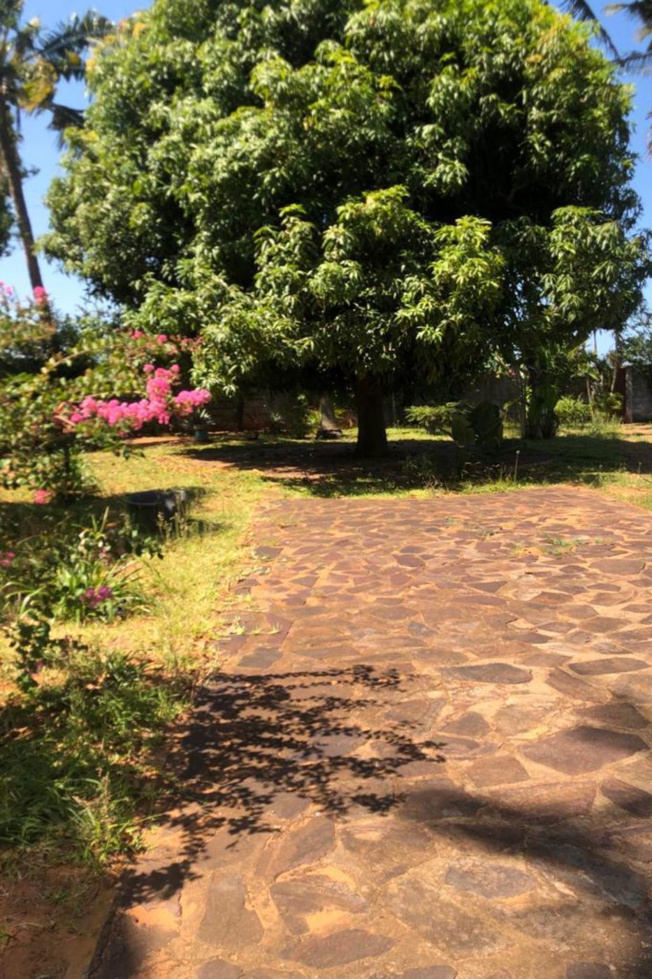 Residential vacant land for investment in Costa do Sol , Mozambique - 3MQ1687865