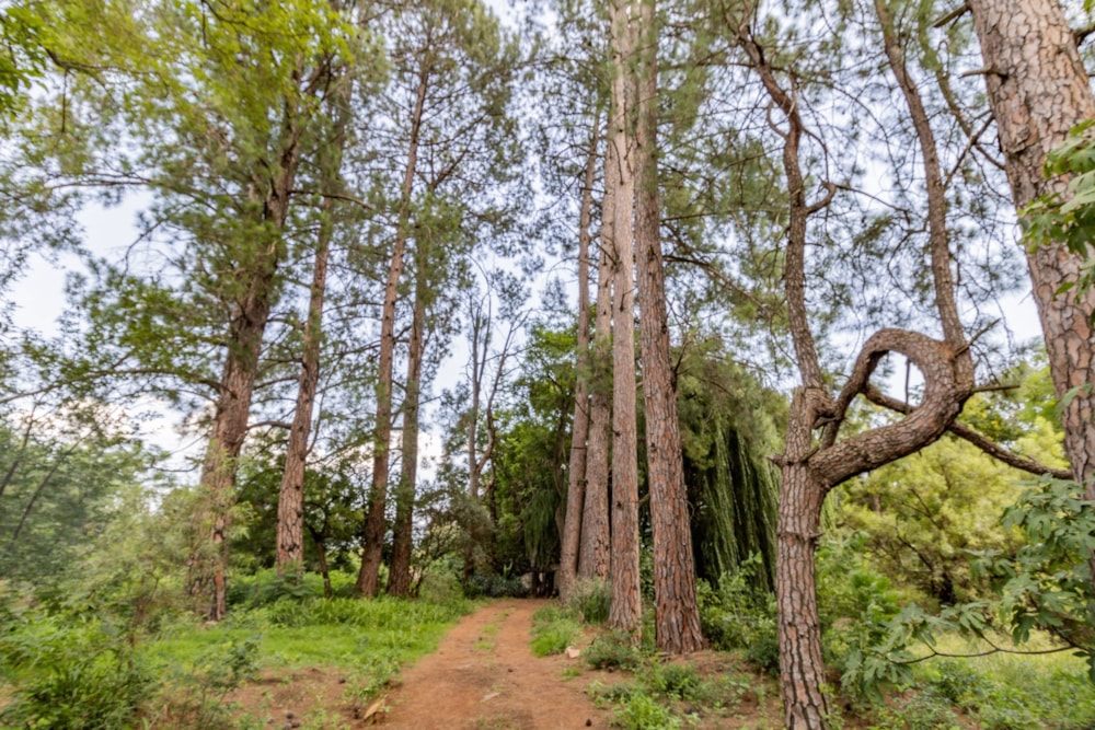 Mixed use farm for sale in Skeerpoort - 1HR1687882 Mixed use farm for sale in Skeerpoort - 1HR1687882