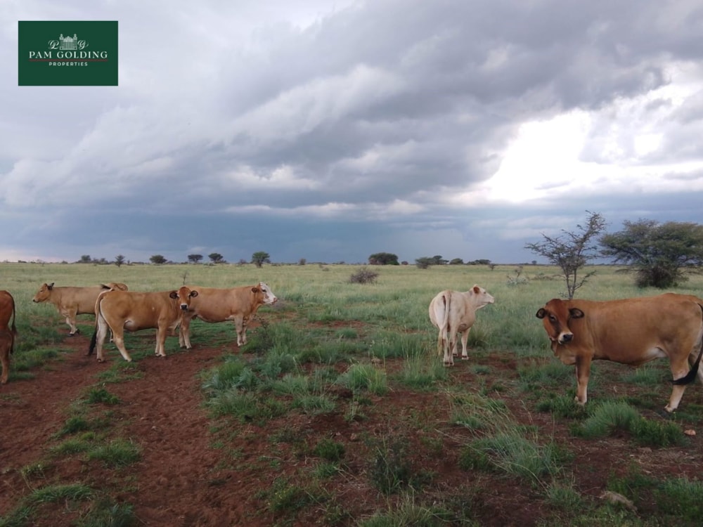 Livestock farm sold in Kuruman Farms - 1RN1688090