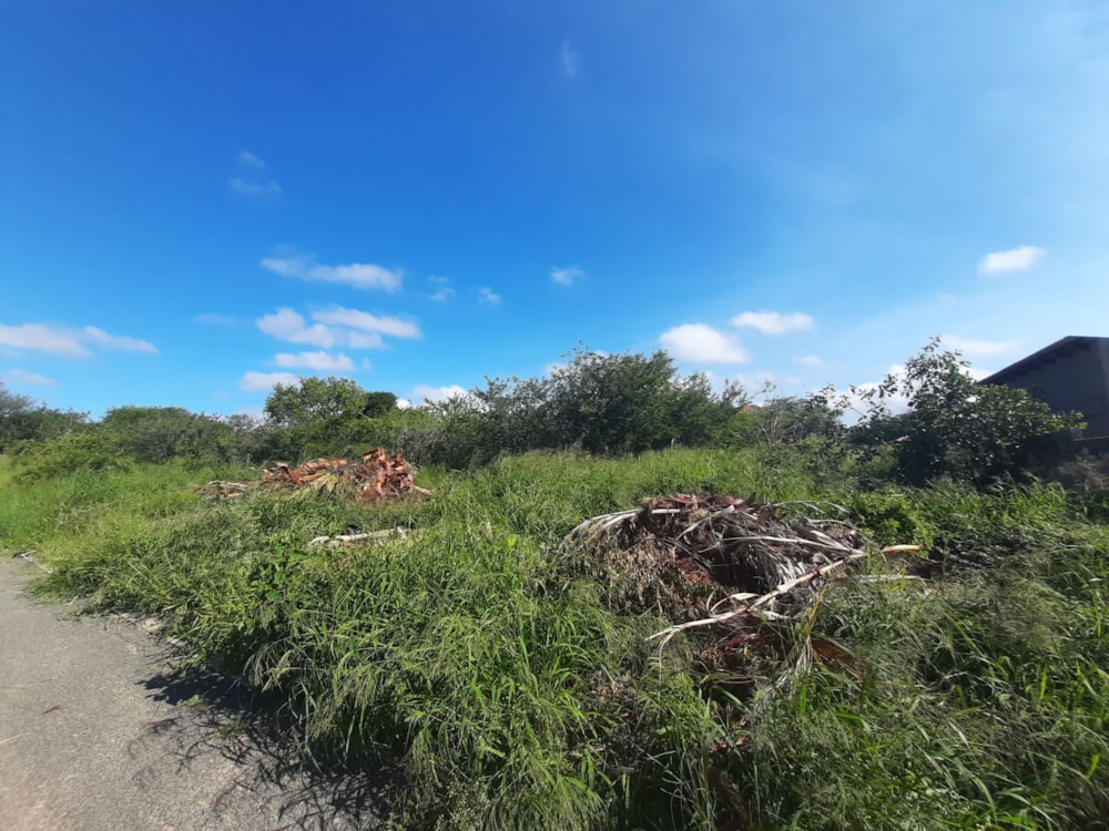 Vacant land for sale in Hectorspruit - 1NK1688168