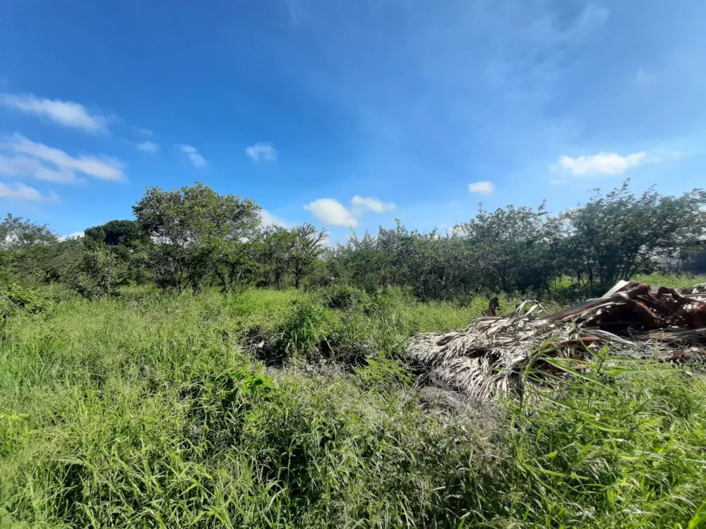 Vacant land for sale in Hectorspruit - 1NK1688168