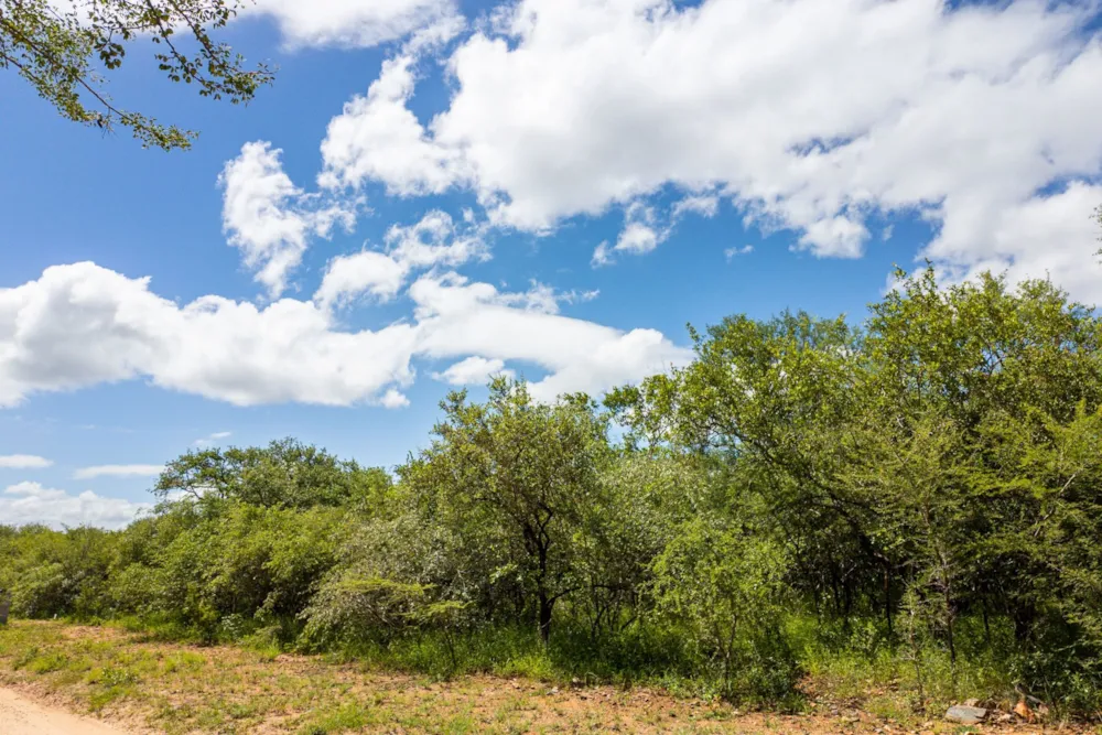 Vacant land sold in Mjejane Game Reserve - 1NK1688175 Vacant land sold in Mjejane Game Reserve - 1NK1688175