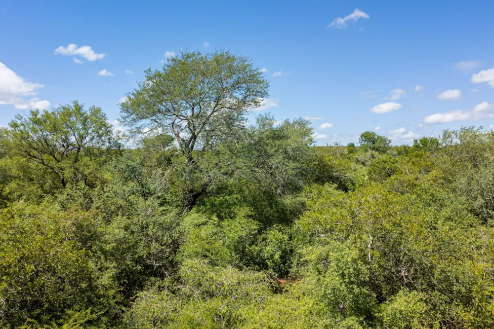 Vacant land sold in Mjejane Game Reserve - 1NK1688175 Vacant land sold in Mjejane Game Reserve - 1NK1688175