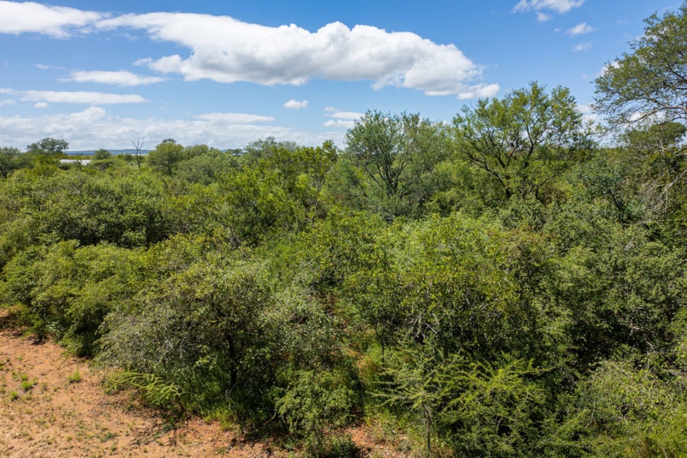 Vacant land for sale in Mjejane Game Reserve - 1NK1688175 Vacant land for sale in Mjejane Game Reserve - 1NK1688175