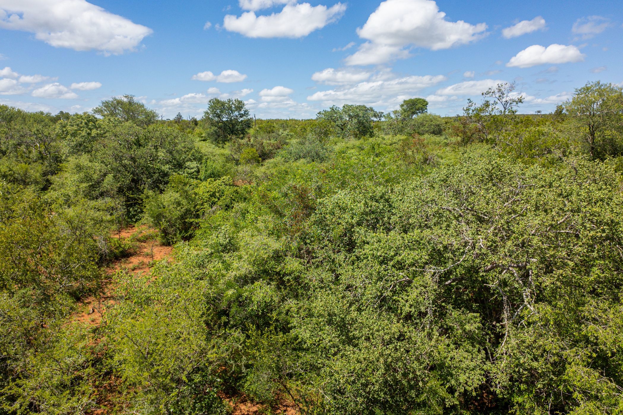 Vacant land for sale in Mjejane Game Reserve - 1NK1688175
