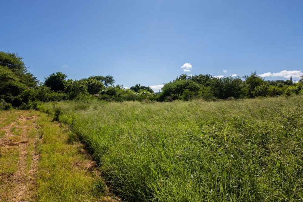 Farm vacant land sold in Malelane - 1NK1688223