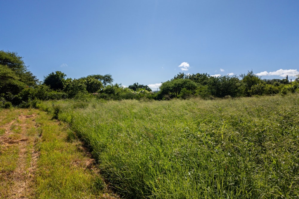 Farm vacant land sold in Malelane - 1NK1688223 Farm vacant land sold in Malelane - 1NK1688223