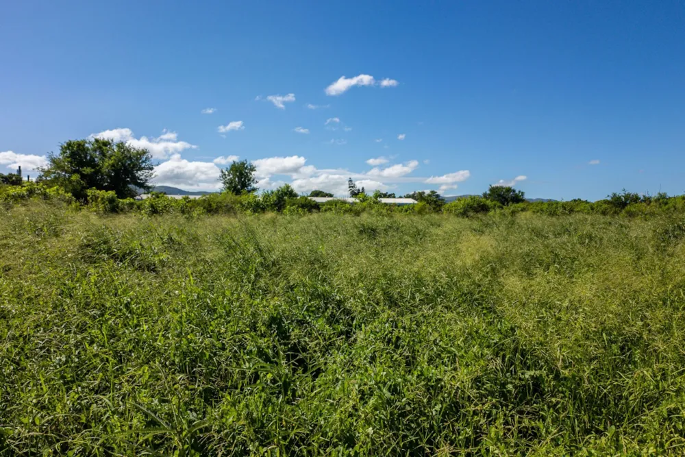 Farm vacant land sold in Malelane - 1NK1688223