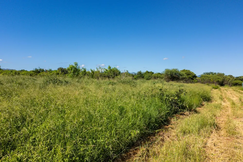 Farm vacant land sold in Malelane - 1NK1688223