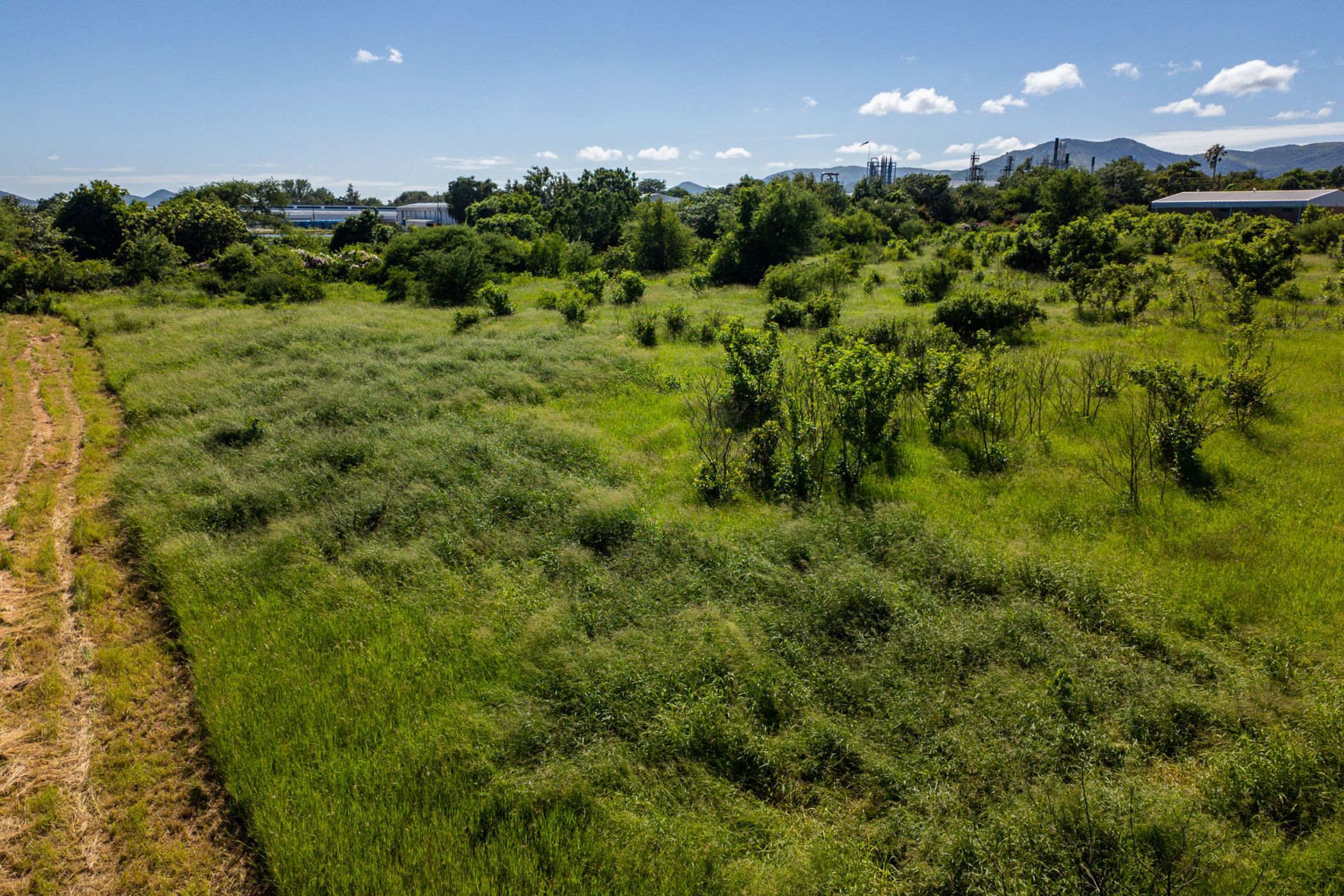 Farm vacant land sold in Malelane - 1NK1688223