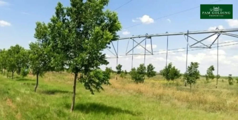 Irrigation farm for sale in Jan Kempdorp - 1RN1689876 Irrigation farm for sale in Jan Kempdorp - 1RN1689876