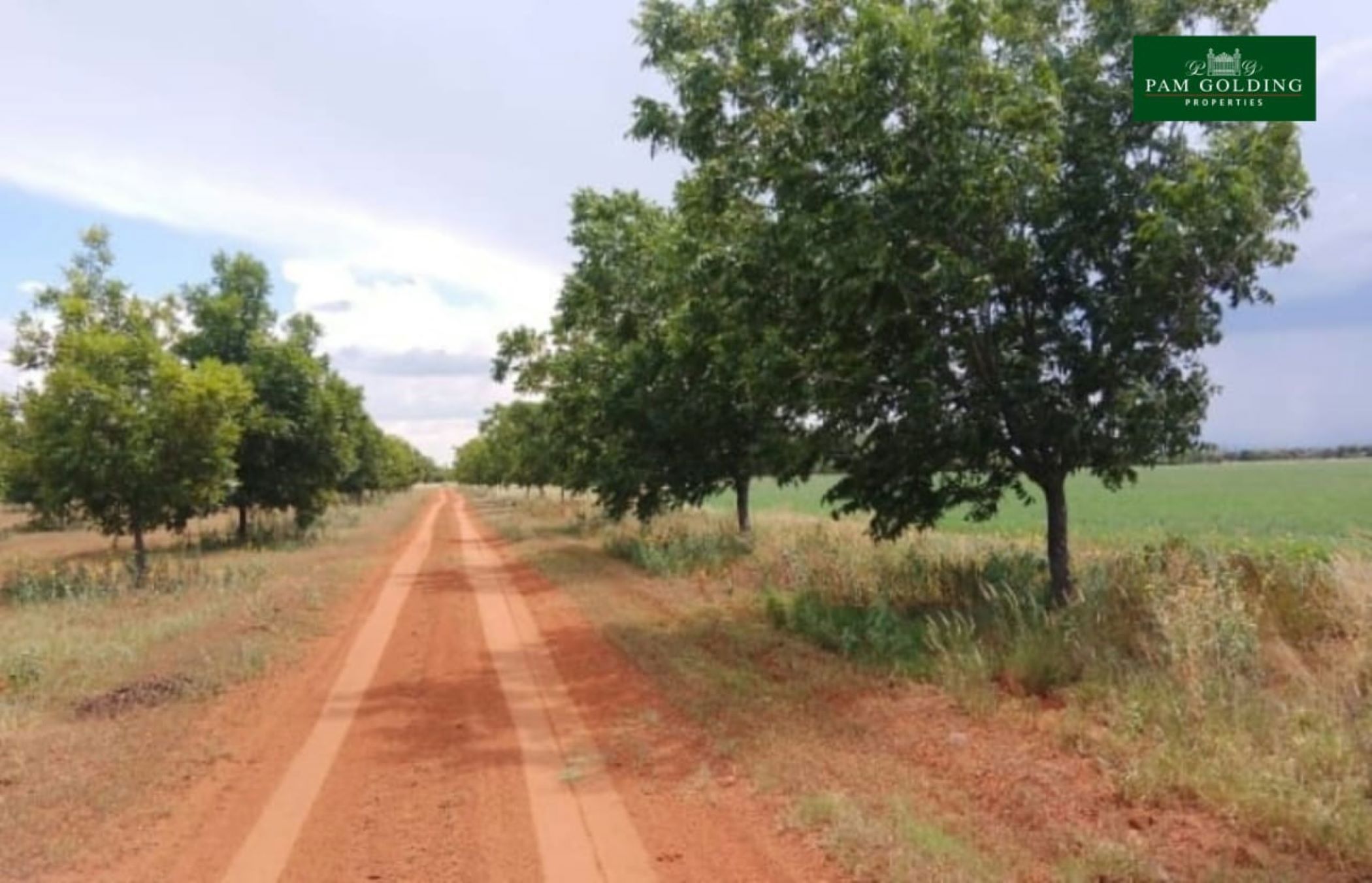 Irrigation farm for sale in Jan Kempdorp - 1RN1689876