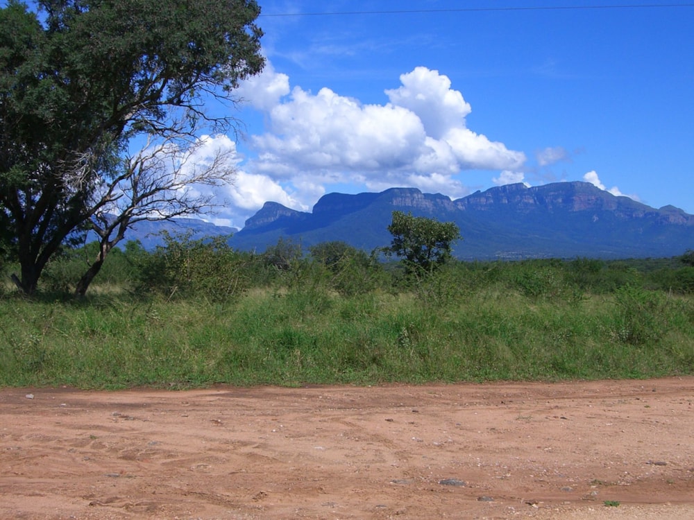 Vacant land sold in Moditlo Nature Reserve - 1HS1688612 Vacant land sold in Moditlo Nature Reserve - 1HS1688612