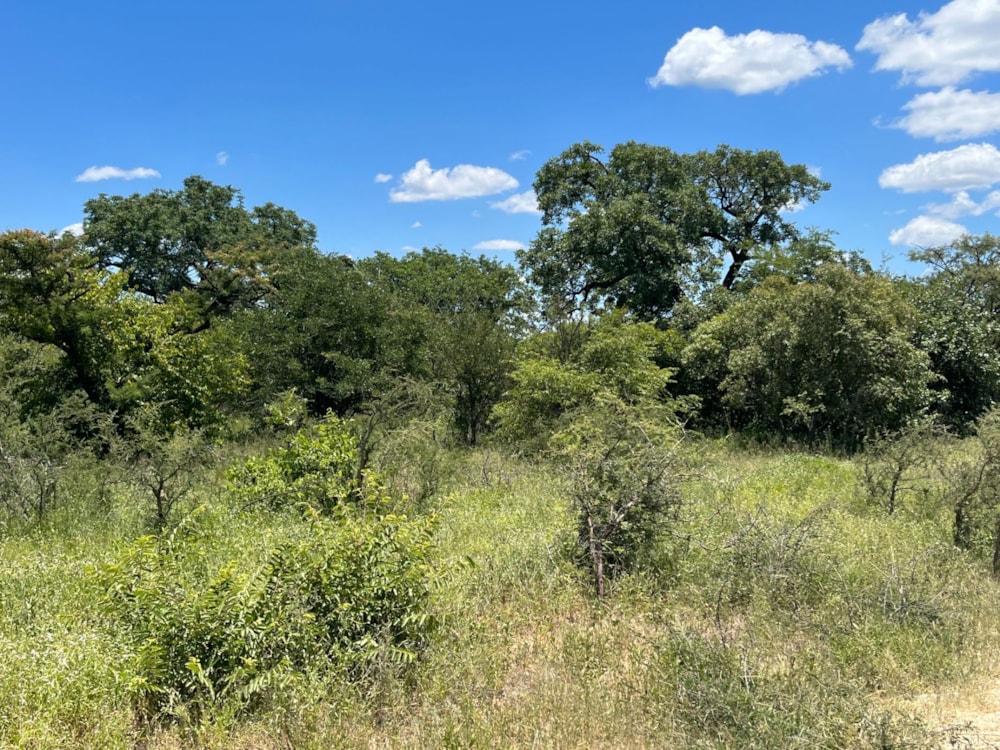 Vacant land sold in Moditlo Nature Reserve - 1HS1688612 Vacant land sold in Moditlo Nature Reserve - 1HS1688612