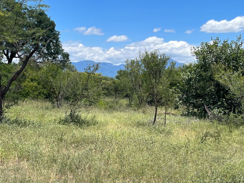 Vacant land sold in Moditlo Nature Reserve - 1HS1688612 Vacant land sold in Moditlo Nature Reserve - 1HS1688612