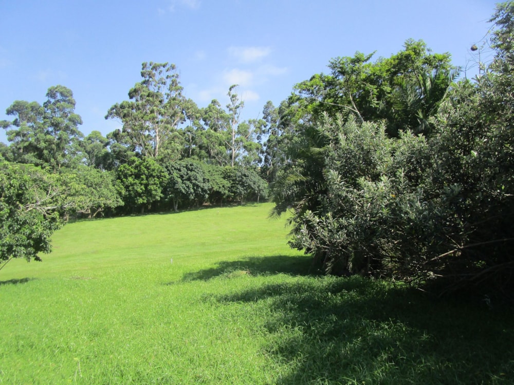 Vacant land for sale in Pennington - 1SI1688692 Vacant land for sale in Pennington - 1SI1688692