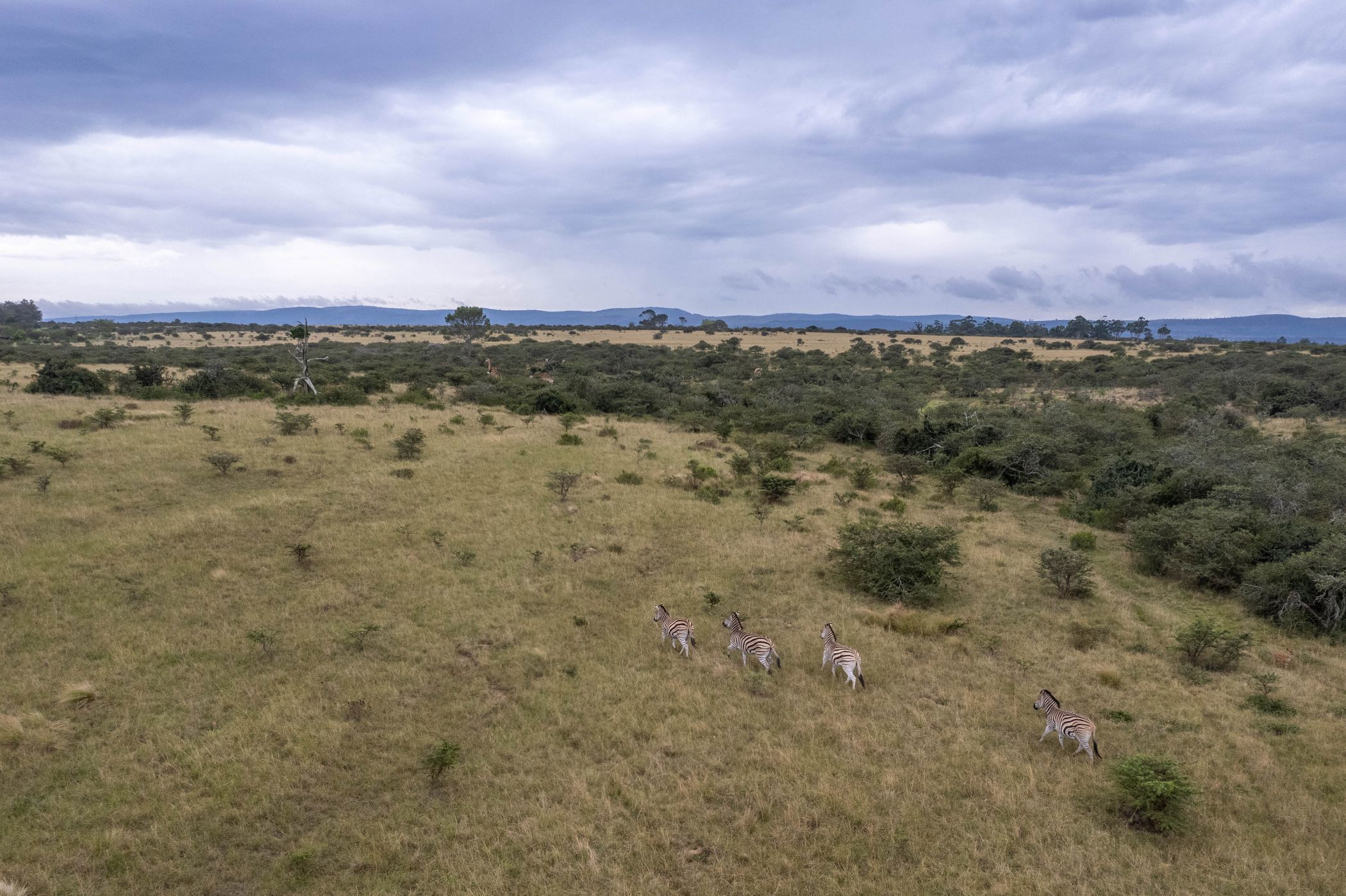 Vacant land for sale in Bathurst - 1PF1688702