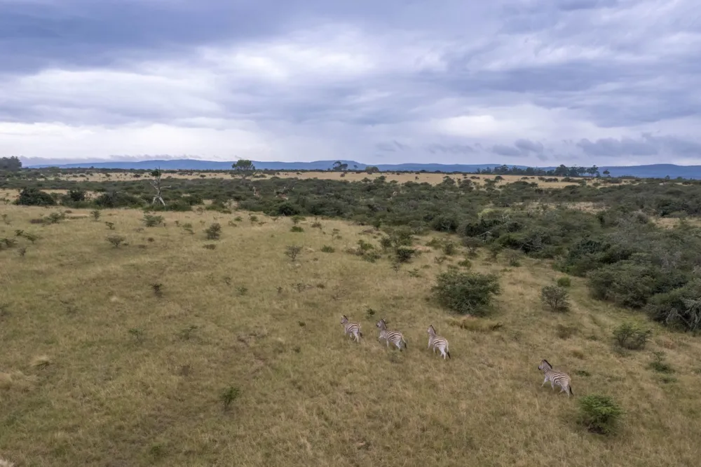 Vacant land for sale in Bathurst - 1PF1688702