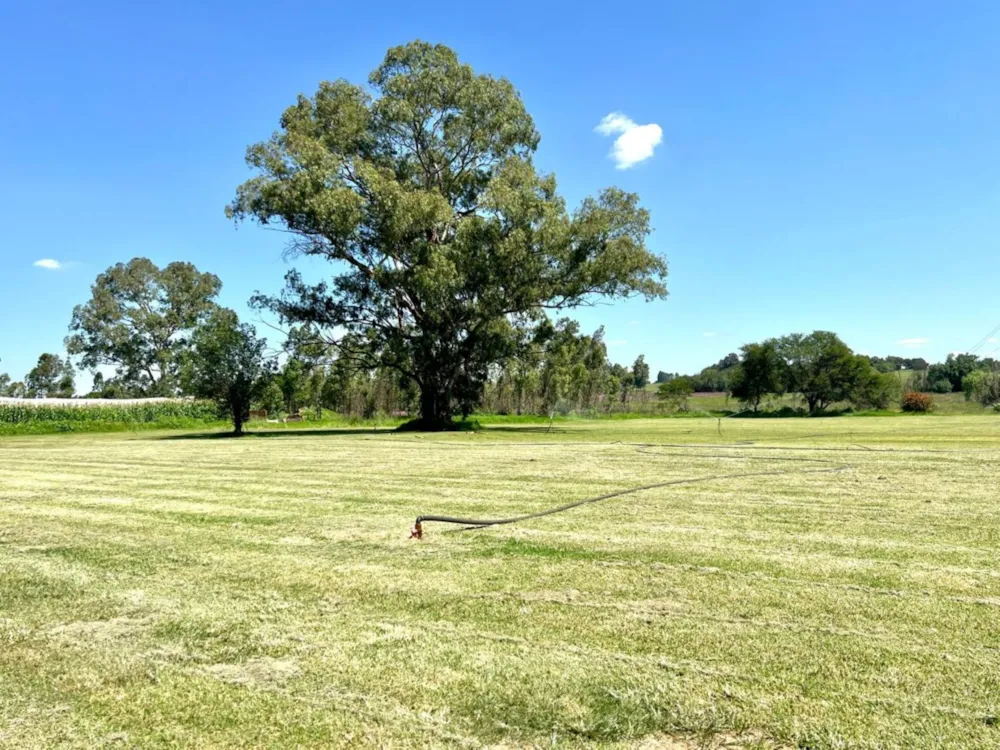 Farm vacant land for sale in Benoni AH - EN1688750 Farm vacant land for sale in Benoni AH - EN1688750