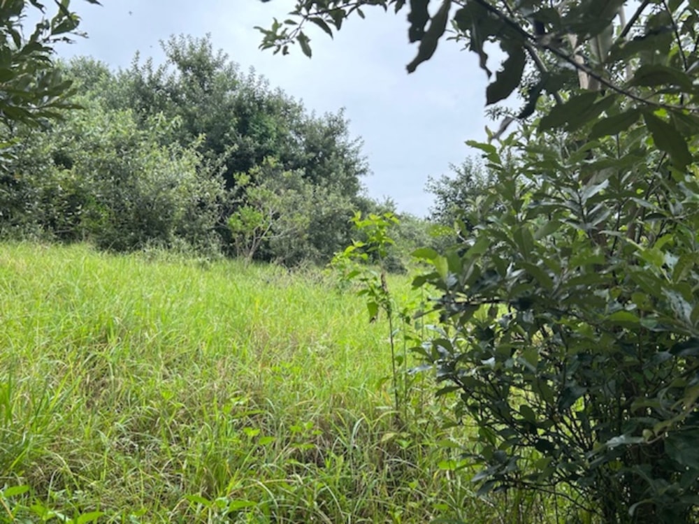 Residential vacant land for sale in Simbithi Eco Estate - 1BD1687412