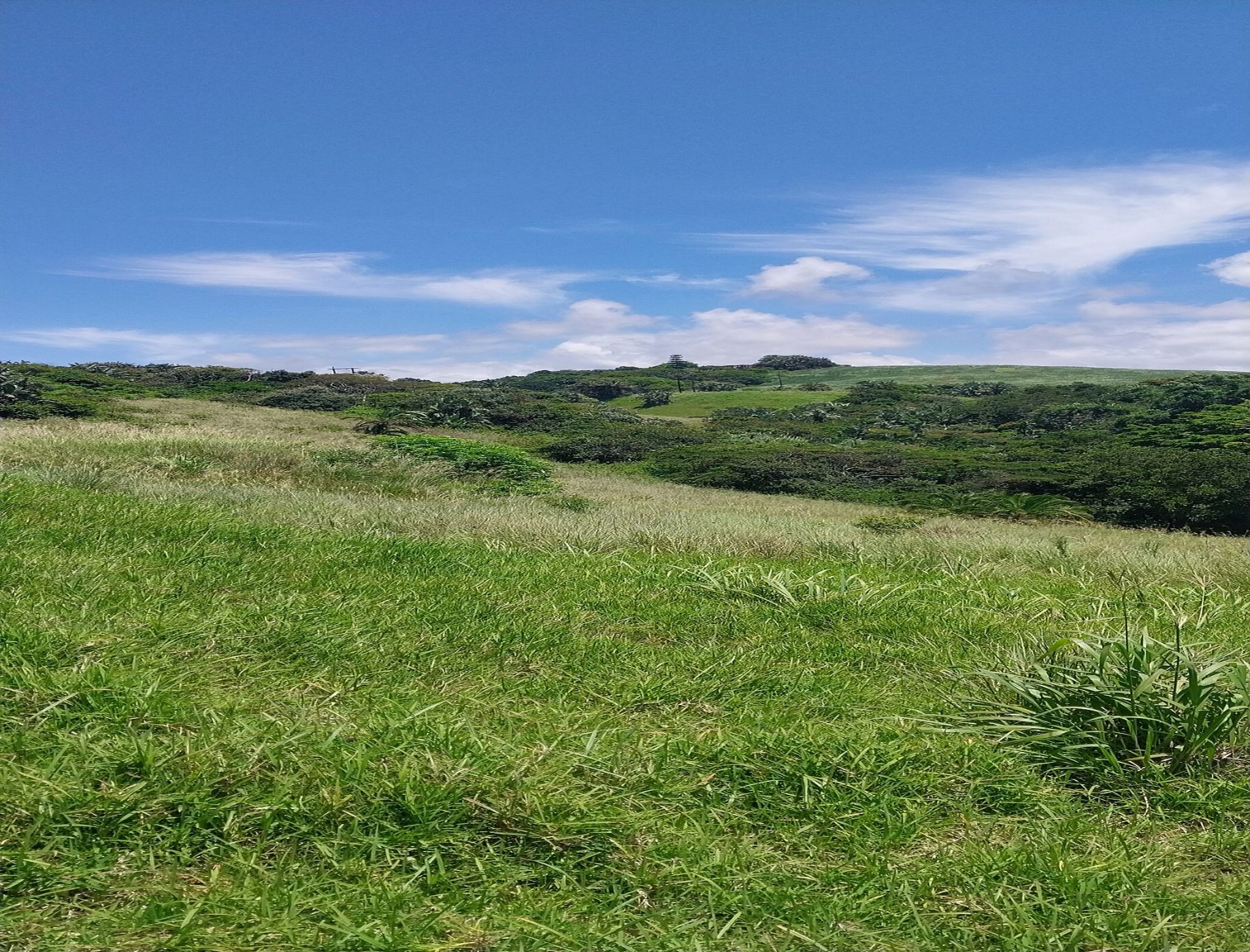 Vacant land for sale in Elysium - 1SI1692461