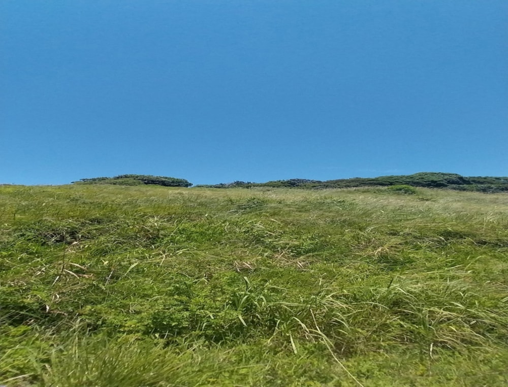 Vacant land for sale in Elysium - 1SI1692461