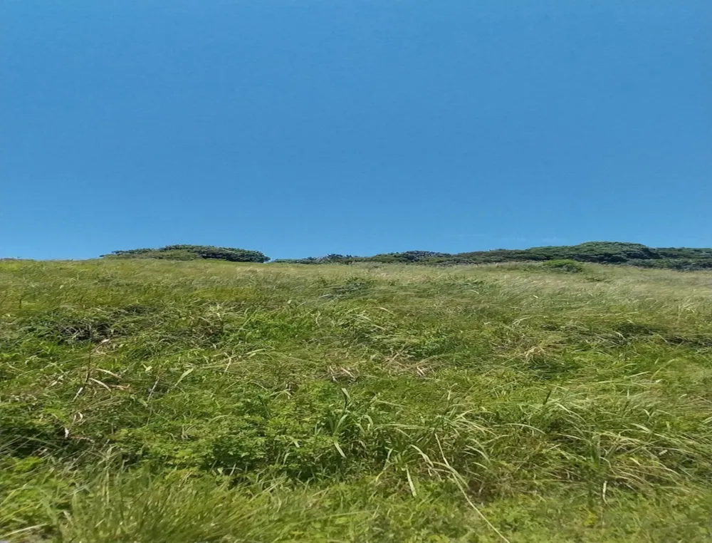 Vacant land for sale in Elysium - 1SI1692461 Vacant land for sale in Elysium - 1SI1692461