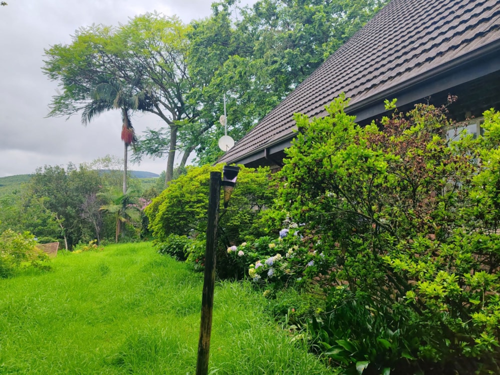 Fruit farm sold in Tzaneen, Limpopo Province - 1TA1685574 Fruit farm sold in Tzaneen, Limpopo Province - 1TA1685574