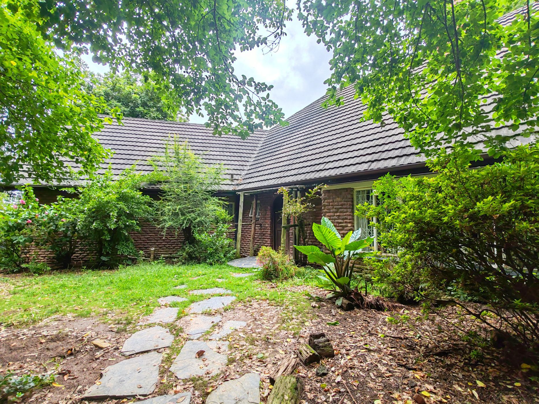 Fruit farm sold in Tzaneen, Limpopo Province - 1TA1685574