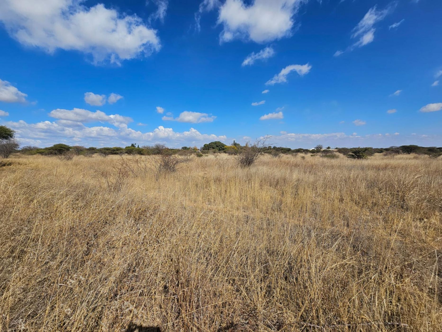 Smallholding for sale in Polokwane - 1PS1702303