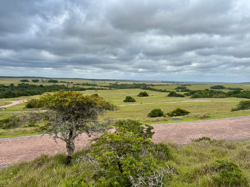 Vacant land for sale in Kenton Eco Estate - 1KO1684864