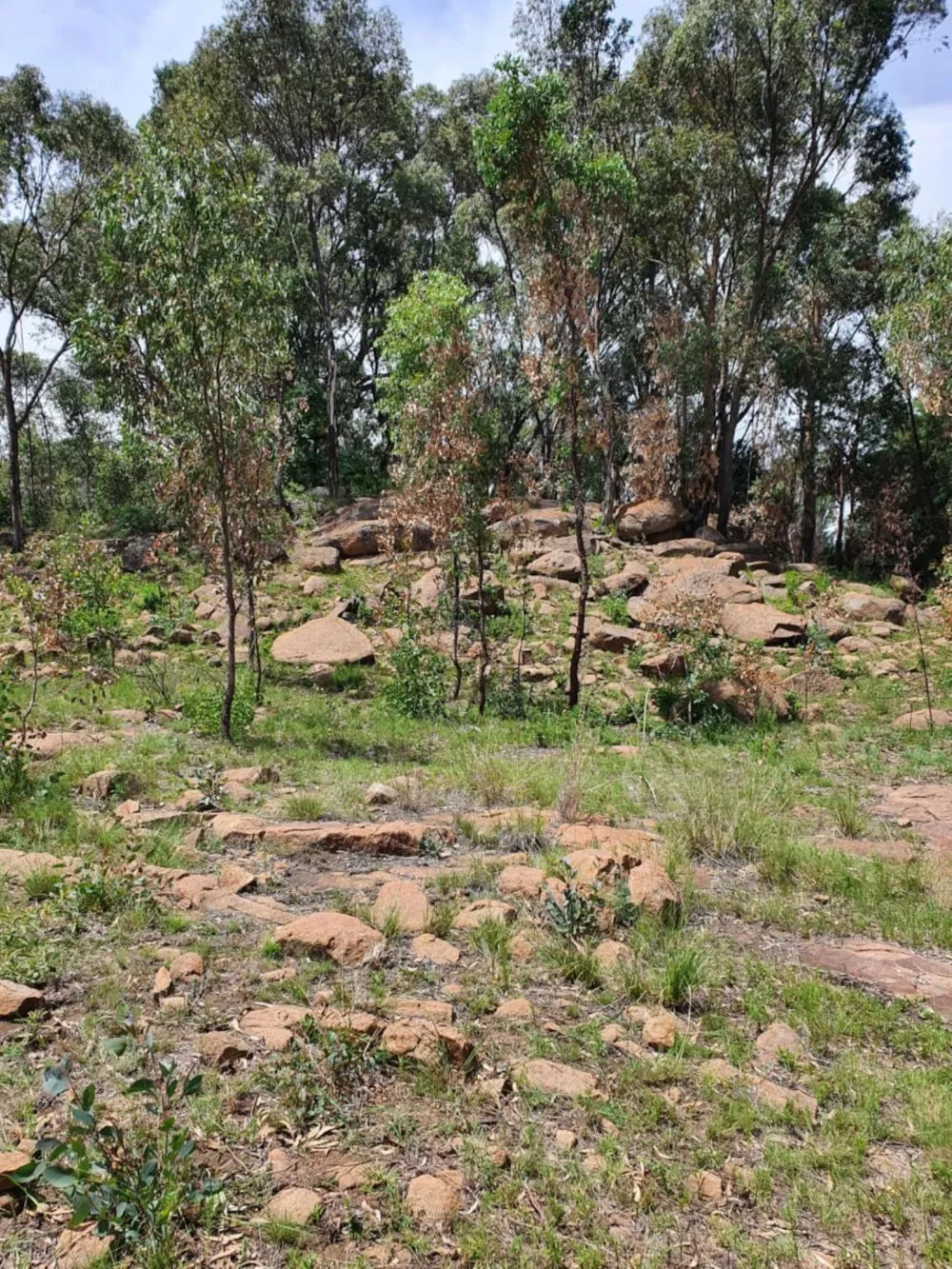 Smallholding sold in Dullstroom - 1DS1687871