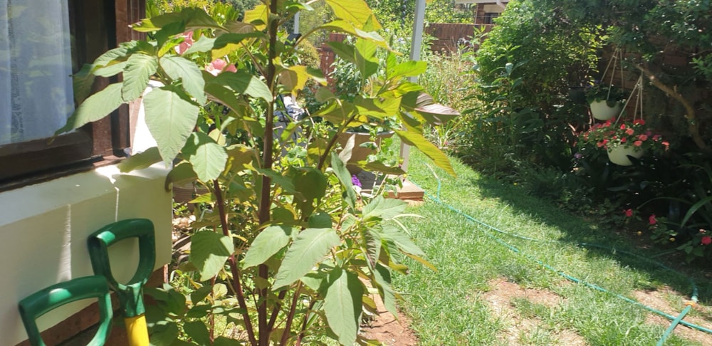 Townhouse sold in Dan Pienaar - 1BX1687840 Townhouse sold in Dan Pienaar - 1BX1687840