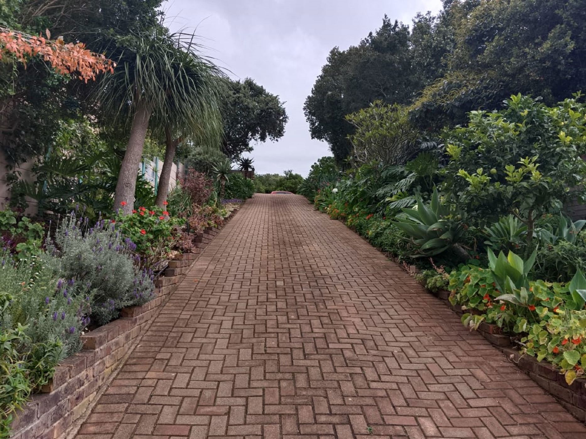 Residential vacant land for sale in Noorsekloofpunt - 1JF1686670