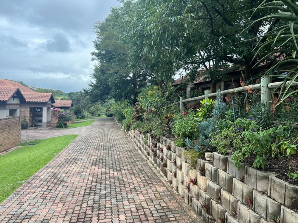 Apartment let in Bateleur Estate - 1NS1703623 Apartment let in Bateleur Estate - 1NS1703623