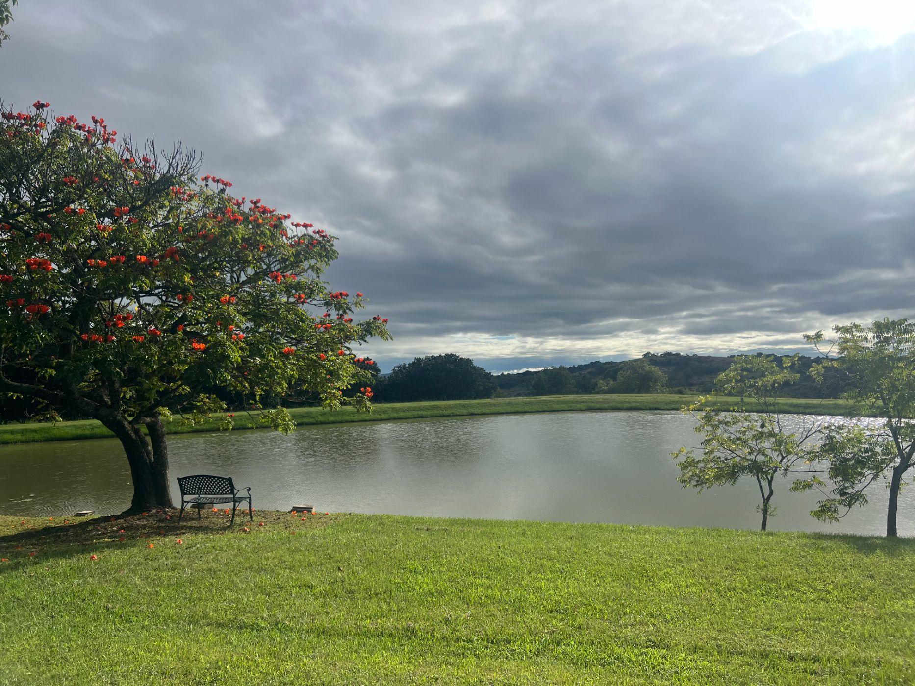 House sold in Bateleur Estate - 1NS1681478