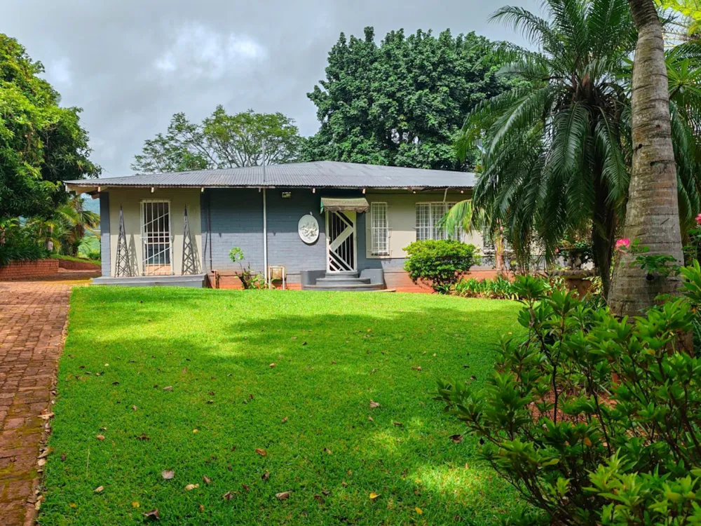 Fruit farm for sale in Tzaneen Rural - 1TA1689292
