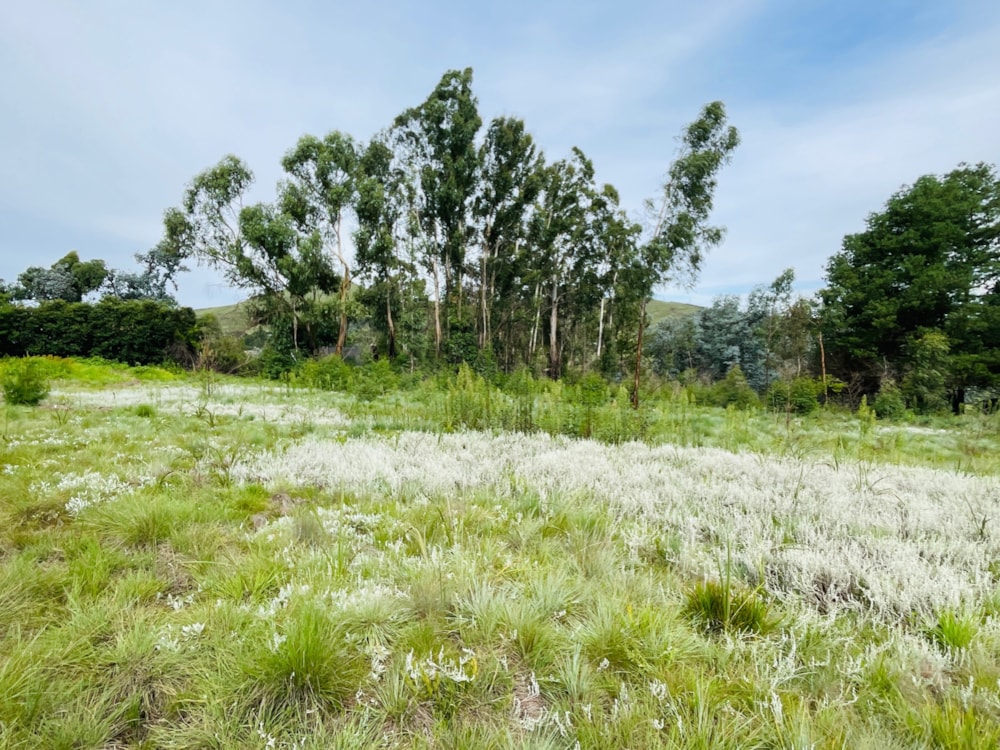 Vacant land for sale in Underberg - 1UB1689524