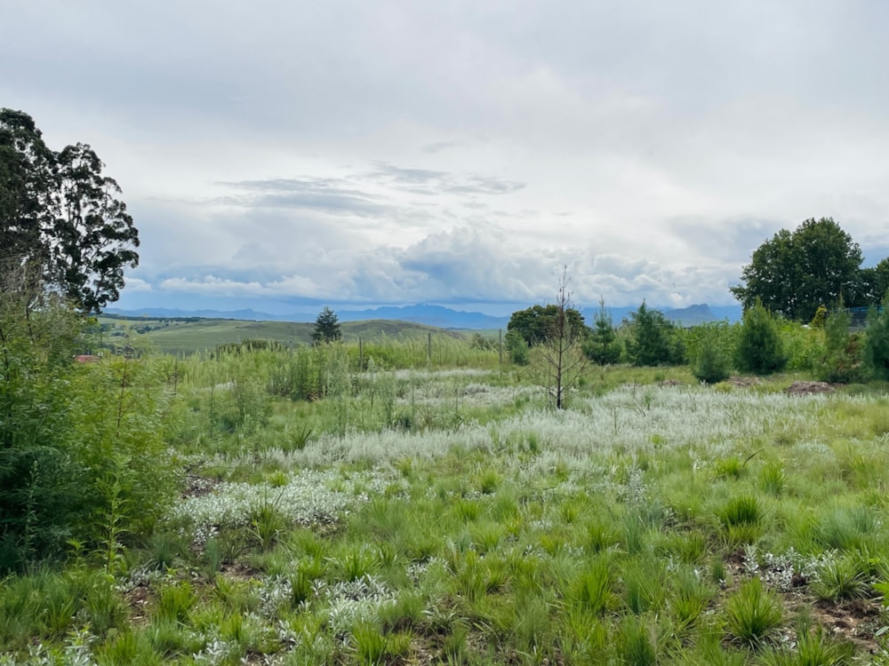Vacant land for sale in Underberg - 1UB1689524