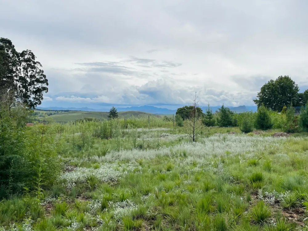 Vacant land sold in Underberg - 1UB1689524 Vacant land sold in Underberg - 1UB1689524