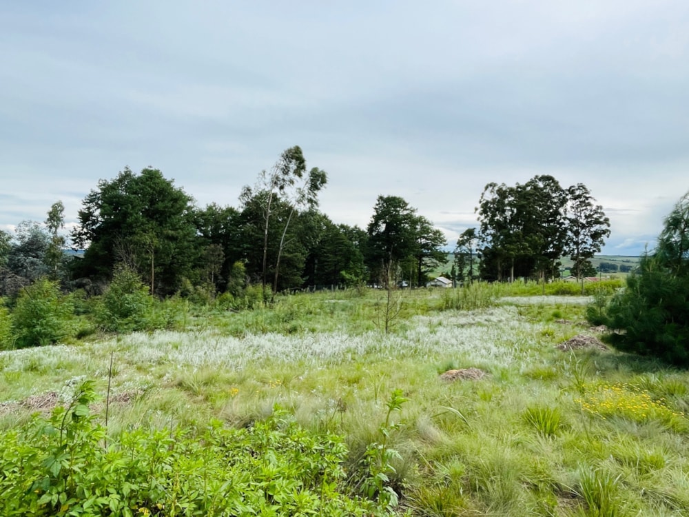 Vacant land for sale in Underberg - 1UB1689524