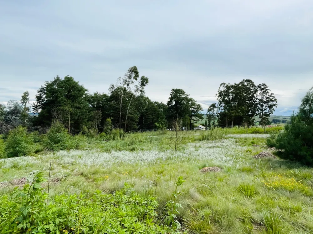 Vacant land sold in Underberg - 1UB1689524 Vacant land sold in Underberg - 1UB1689524