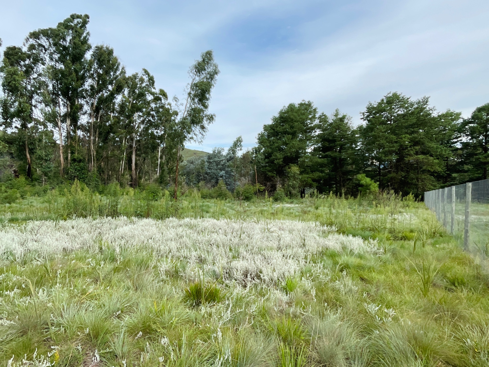 Vacant land for sale in Underberg - 1UB1689524